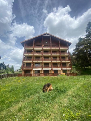 Appartement skis aux pieds à La Joue du Loup